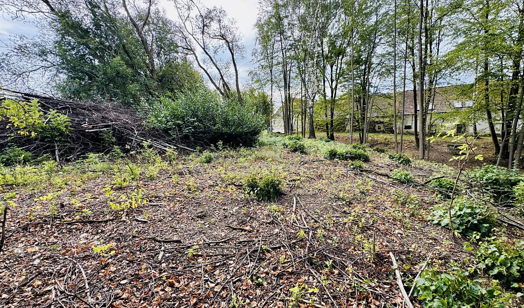 Prodej stavebního pozemku 402 m², Trhové Sviny – náhled fotky 7
