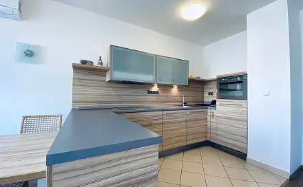 Pronájem bytu 3+kk 83 m², Dusíkova, Brno - Lesná