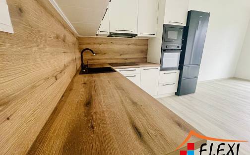 Pronájem bytu 1+kk 29 m², U Hájenky, Ostrava - Slezská Ostrava