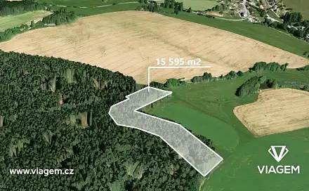 Prodej lesa 3 898 m², Mříčná, okres Semily