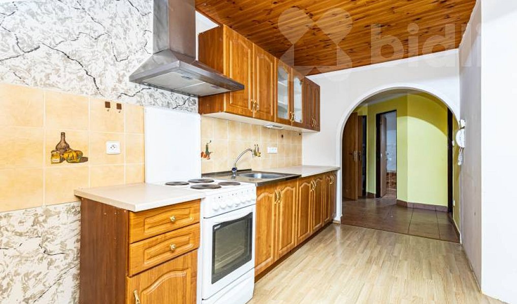 Prodej domu 302 m² s pozemkem 1 108 m², Javorník – náhled fotky 3