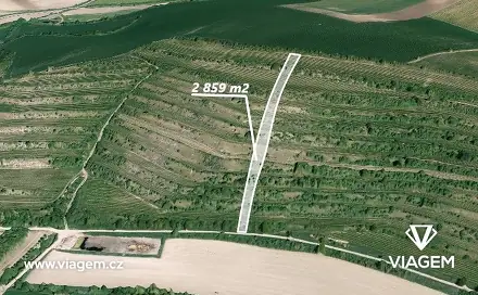 Ostatní