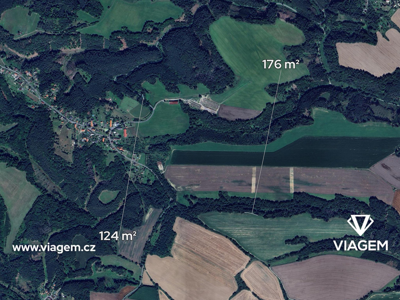Prodej lesa 300 m² – fotografie 2