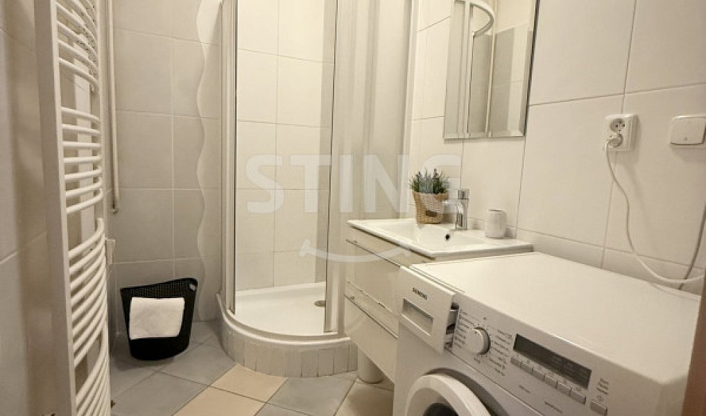 Pronájem bytu 1+1 59 m², Ostrava – náhled fotky 4
