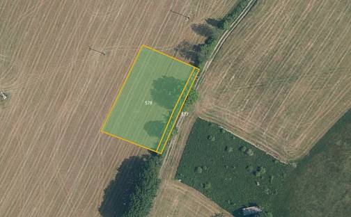 Prodej pole 2 021 m², Železný Brod - Bzí, okres Jablonec nad Nisou