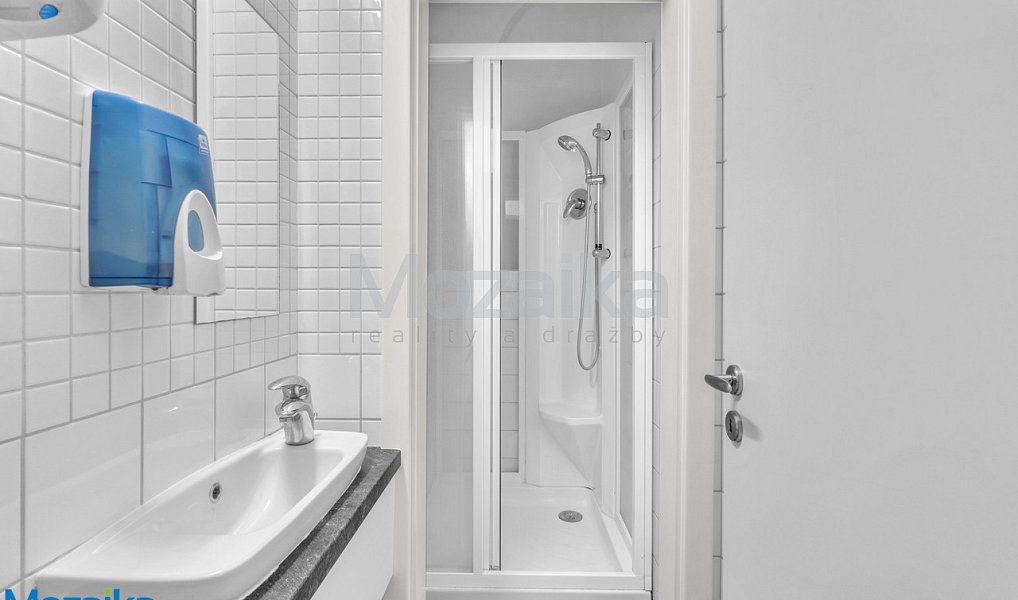 Pronájem bytu 2+kk 80 m², Litomyšl – náhled fotky 9