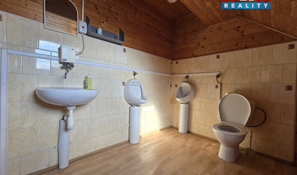 Pronájem kanceláře 200 m², Sviadnov – náhled fotky 12