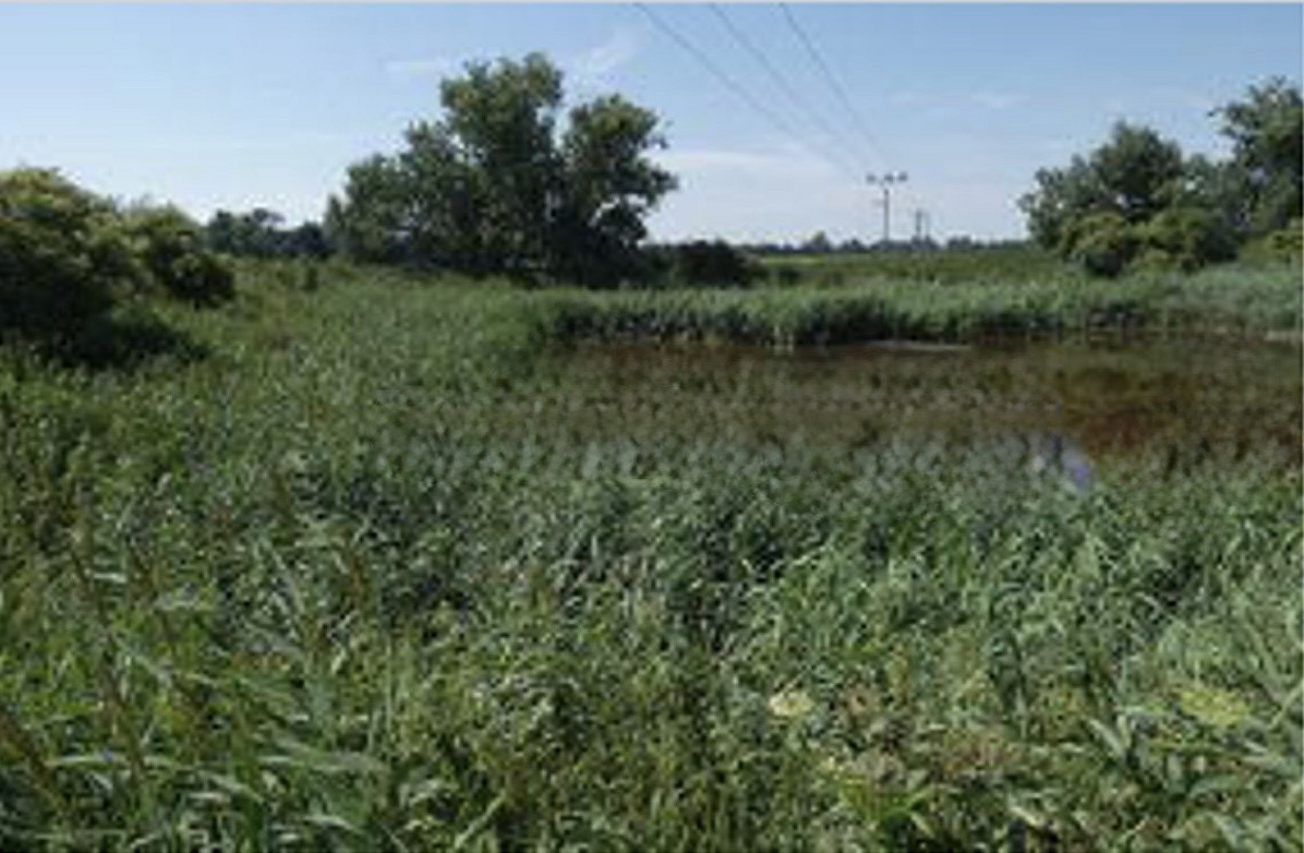 Fotka 10 z 13