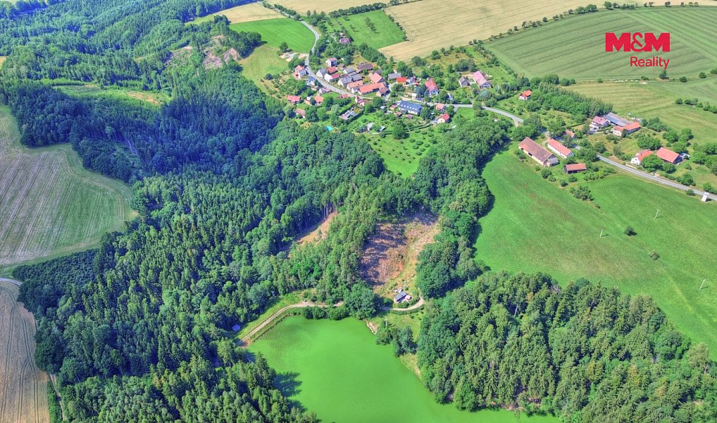 Prodej lesa 32 996 m², Ohnišov – náhled fotky 4