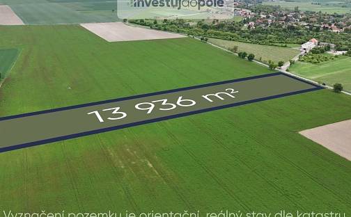 Prodej pole 13 936 m², Velký Borek, okres Mělník