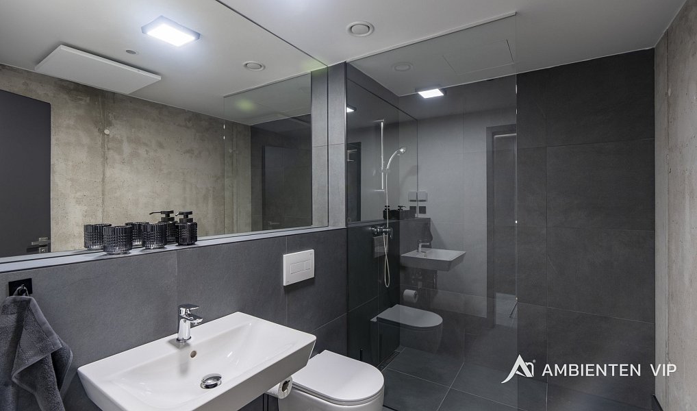 Pronájem bytu 1+kk 35 m², Brno – náhled fotky 16