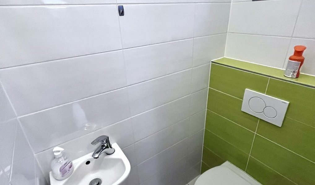 Pronájem bytu 1+1 45 m², Přeštice – náhled fotky 9