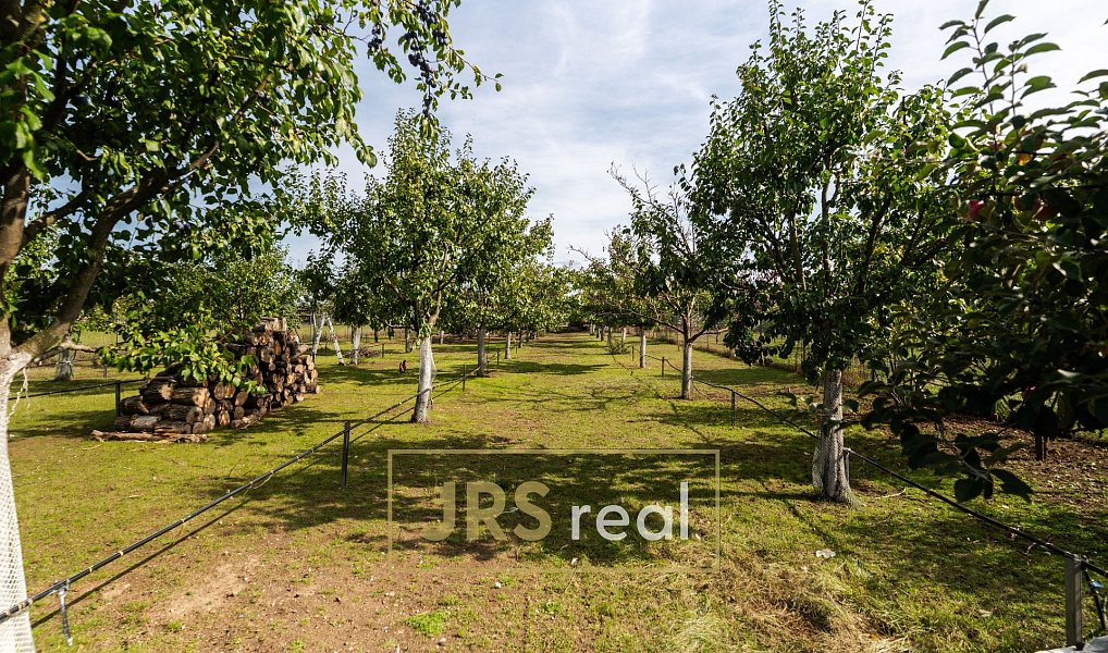 Prodej stavebního pozemku 1 764 m², Brod nad Dyjí – náhled fotky 5