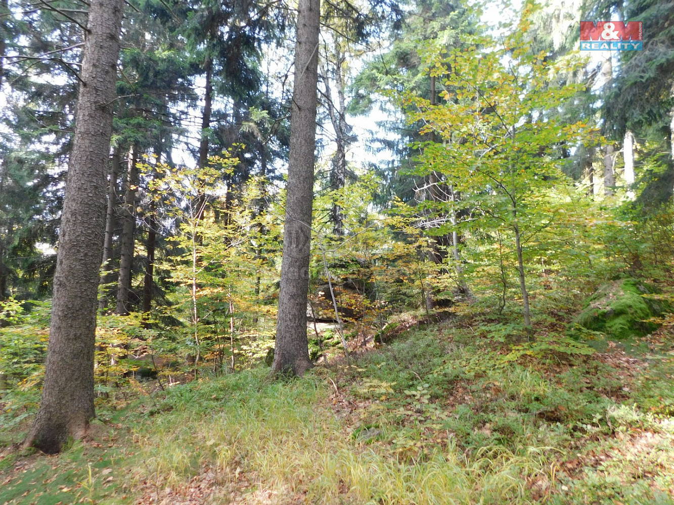 Prodej louky 1 588 m²