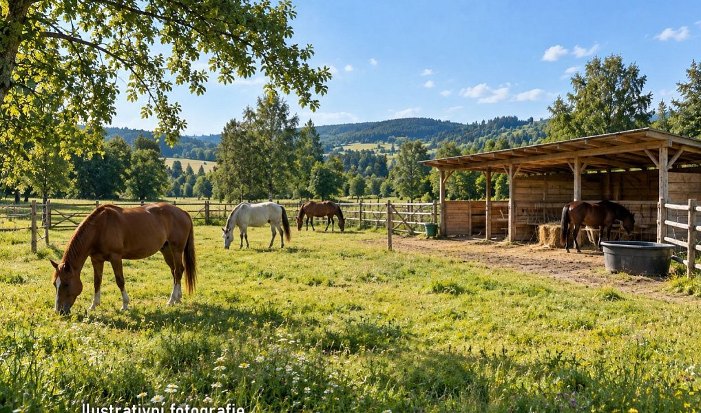 Prodej komerčního pozemku 22 458 m², Bystřice – náhled fotky 6