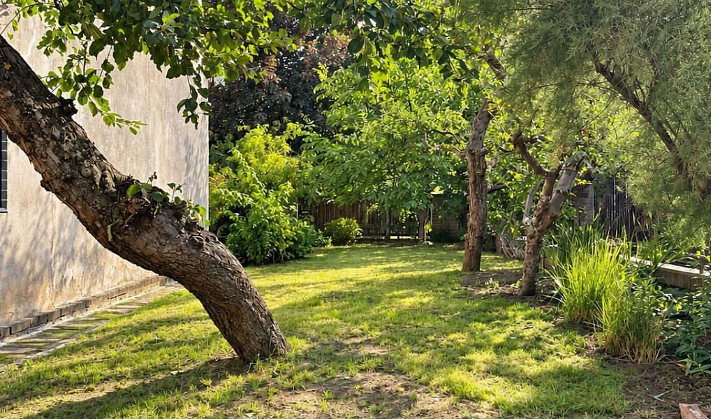 Pronájem bytu 2+kk 40 m², Praha – náhled fotky 14