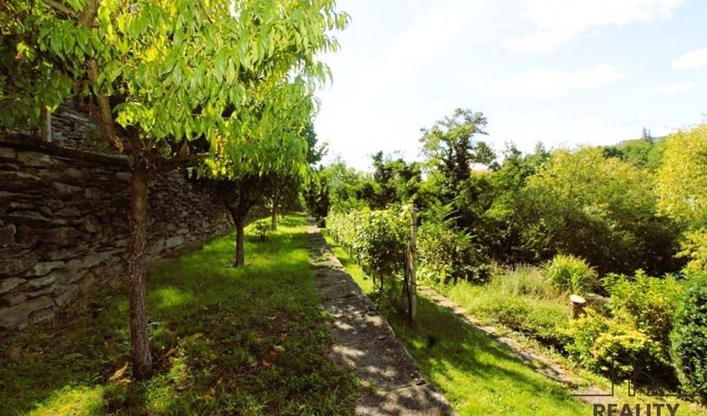 Prodej zahrady 1 116 m², Znojmo – náhled fotky 8