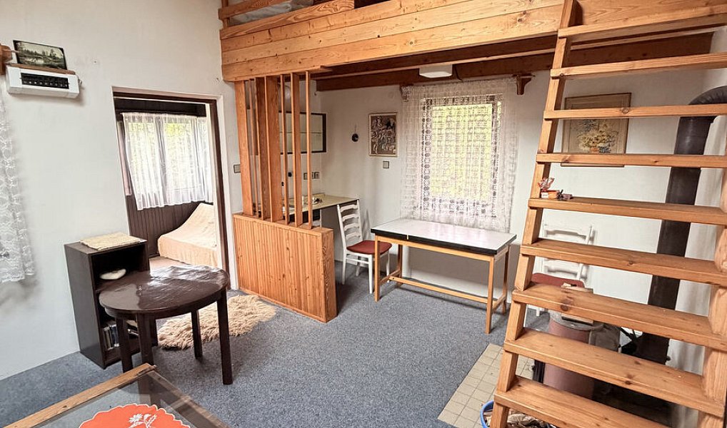 Prodej chaty/chalupy 40 m² s pozemkem 1 863 m², Líšná – náhled fotky 15