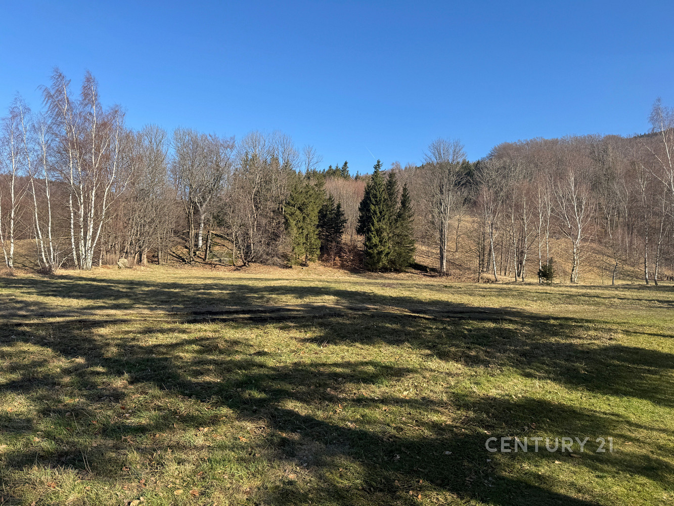 Prodej louky 3 194 m² – fotografie 4