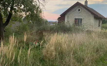 Prodej domu 28 m² s pozemkem 2 081 m², Lišany, okres Louny
