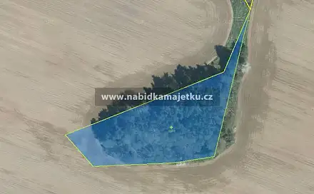 Prodej pozemku 6 070 m², Bor, okres Tachov