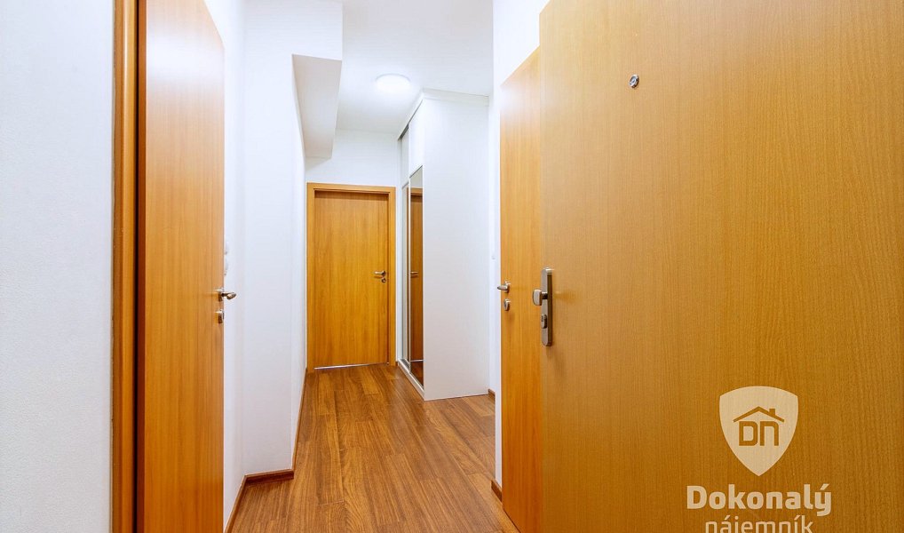 Pronájem bytu 2+kk 50 m², Praha – náhled fotky 11