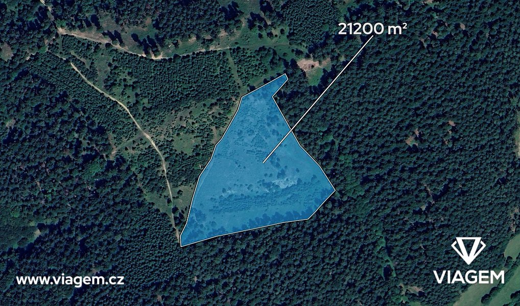 Prodej lesa 21 200 m², Všemina – náhled fotky 2