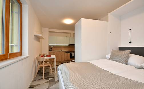 Prodej bytu 1+kk 31 m², Holzova, Brno - Líšeň