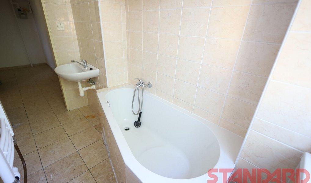 Pronájem bytu 1+1 45 m², Plzeň – náhled fotky 7