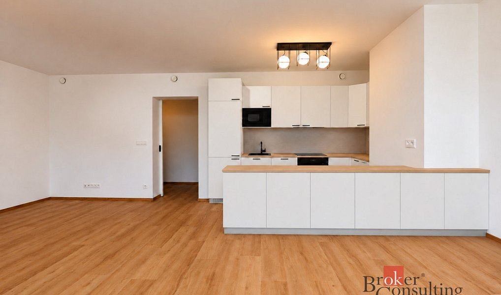 Pronájem bytu 3+kk 99 m², Plzeň – náhled fotky 8