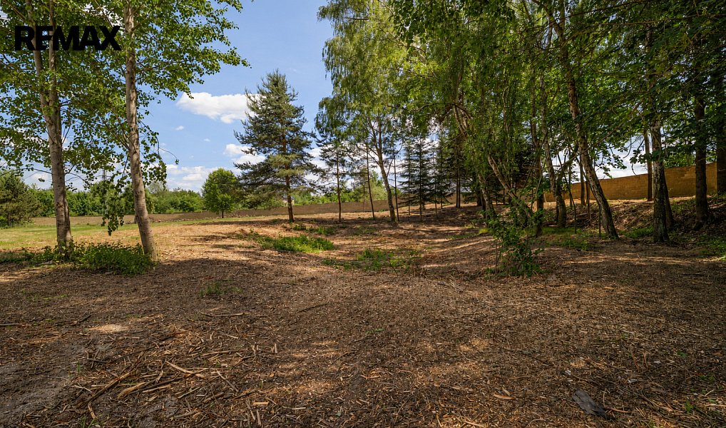 Prodej stavebního pozemku 32 000 m², Cheb – náhled fotky 4
