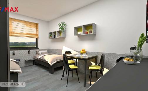 Pronájem bytu 1+kk 34 m², Vídeňská, Brno - Přízřenice