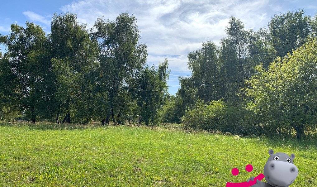 Prodej louky 5 517 m², Podkopná Lhota – náhled fotky 2