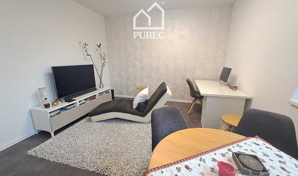 Pronájem bytu 2+kk 54 m², Plzeň – náhled fotky 8