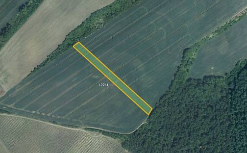 Prodej pole 5 978 m², Mutěnice, okres Hodonín