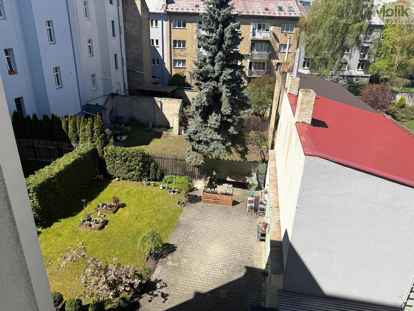 Fotka 11 z 11