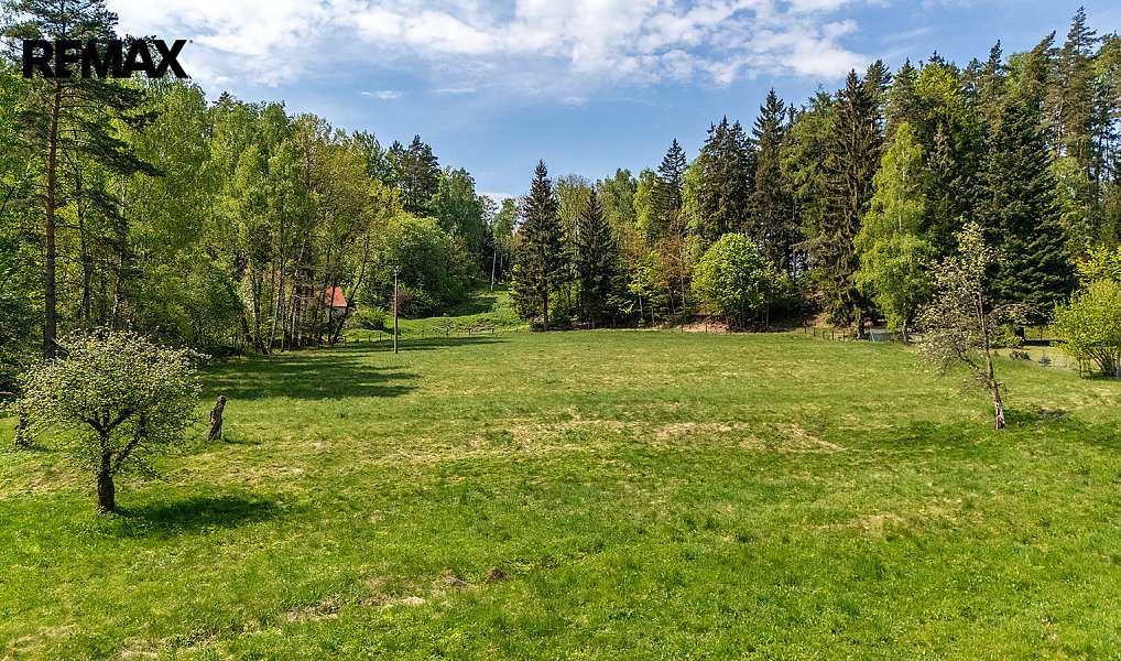 Prodej louky 5 335 m², Cvikov – náhled fotky 7