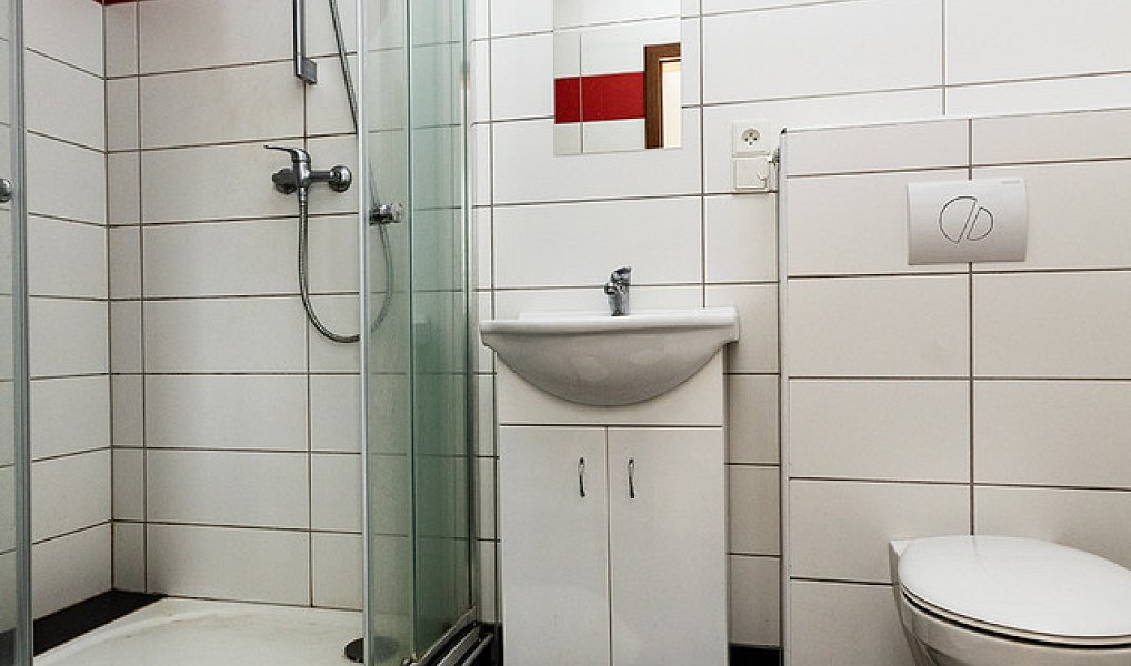 Prodej domu 250 m² s pozemkem 1 048 m², Pomezí nad Ohří – náhled fotky 13