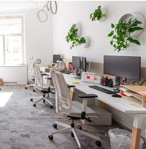 Pronájem obchodních prostor 503 m² — photo 2