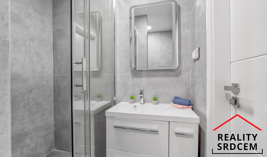 Pronájem bytu 1+1 34 m², Karviná – náhled fotky 9