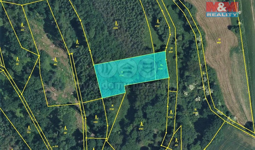 Prodej louky 1 597 m², Svijanský Újezd – náhled fotky 4
