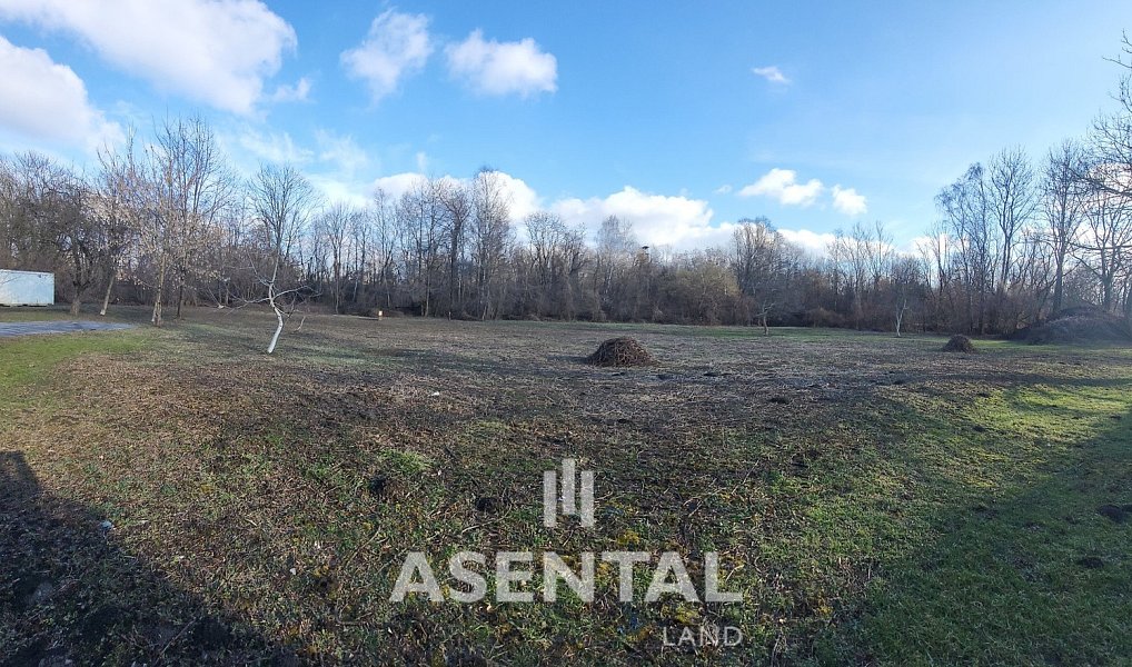 Prodej komerčního pozemku 18 754 m², Ostrava – náhled fotky 6