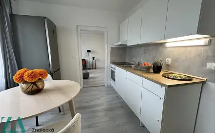 Pronájem bytu 2+kk 37 m², Purkyňova, Ústí nad Labem - Střekov