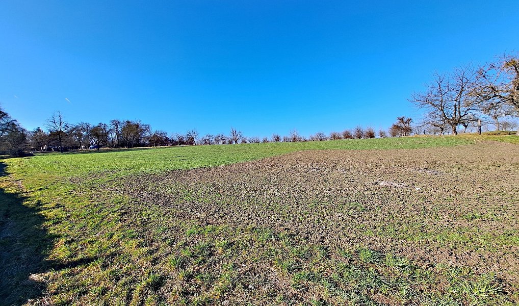 Prodej pole 4 979 m², Štěchov – náhled fotky 4