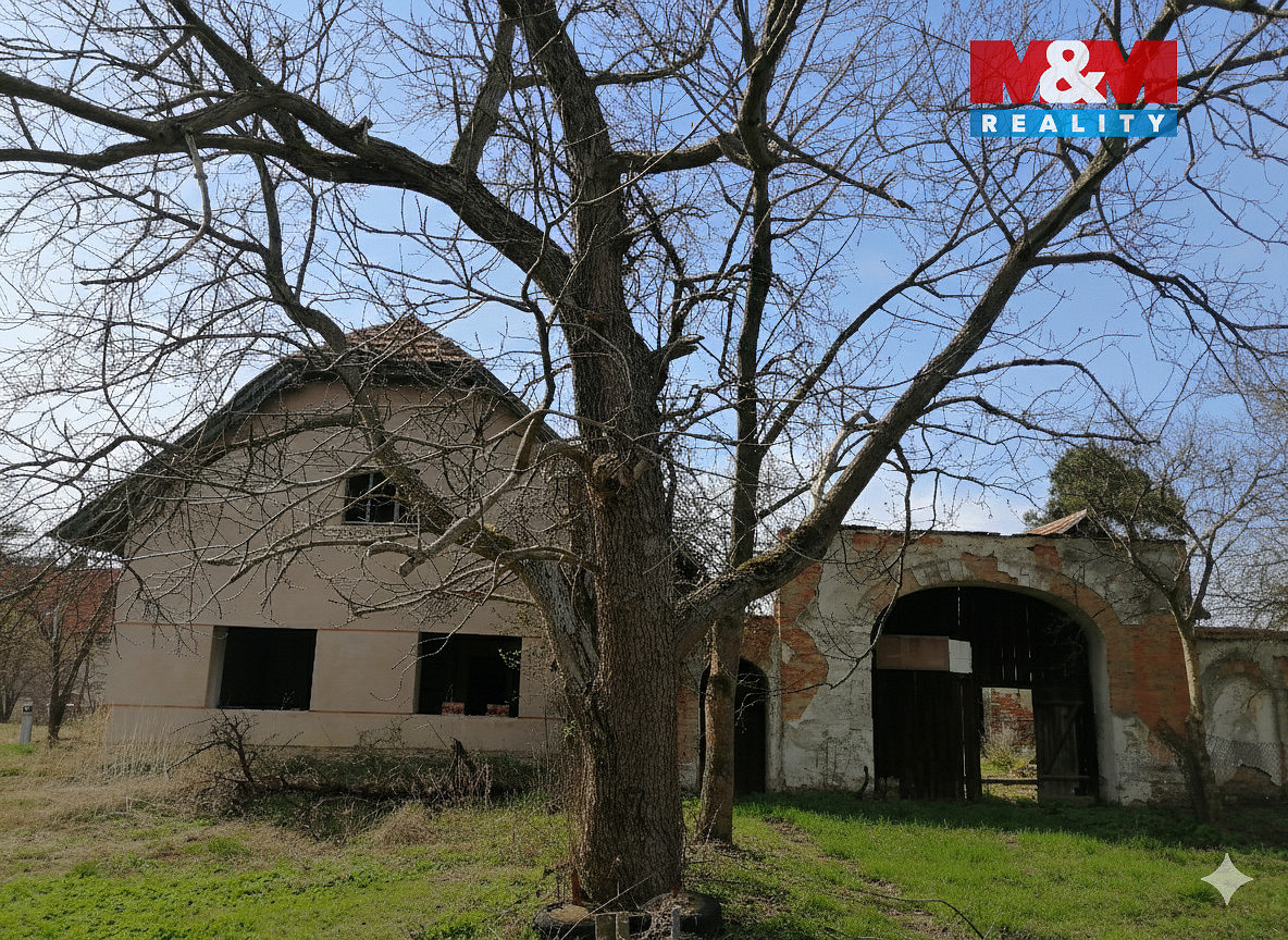 Prodej domu 250 m² s pozemkem 4 164 m² — photo 2