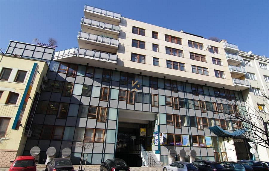 Pronájem obchodních prostor 257 m² – fotografie 2