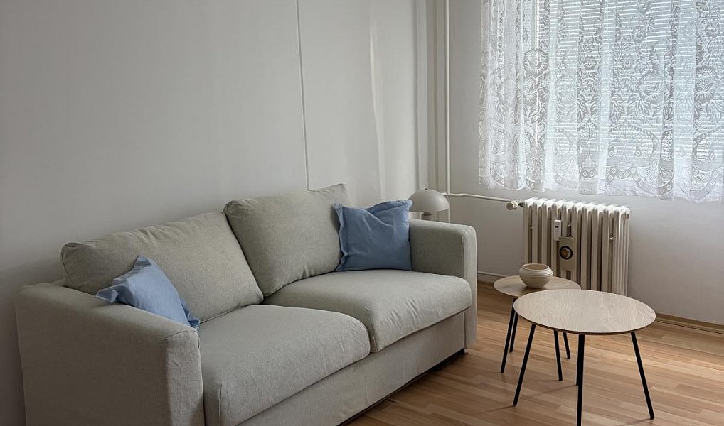 Pronájem bytu 1+1 36 m², Trutnov – náhled fotky 4
