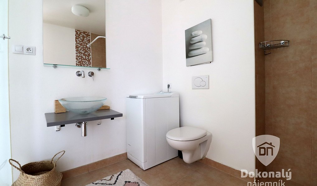 Pronájem bytu 1+kk 45 m², Praha – náhled fotky 3