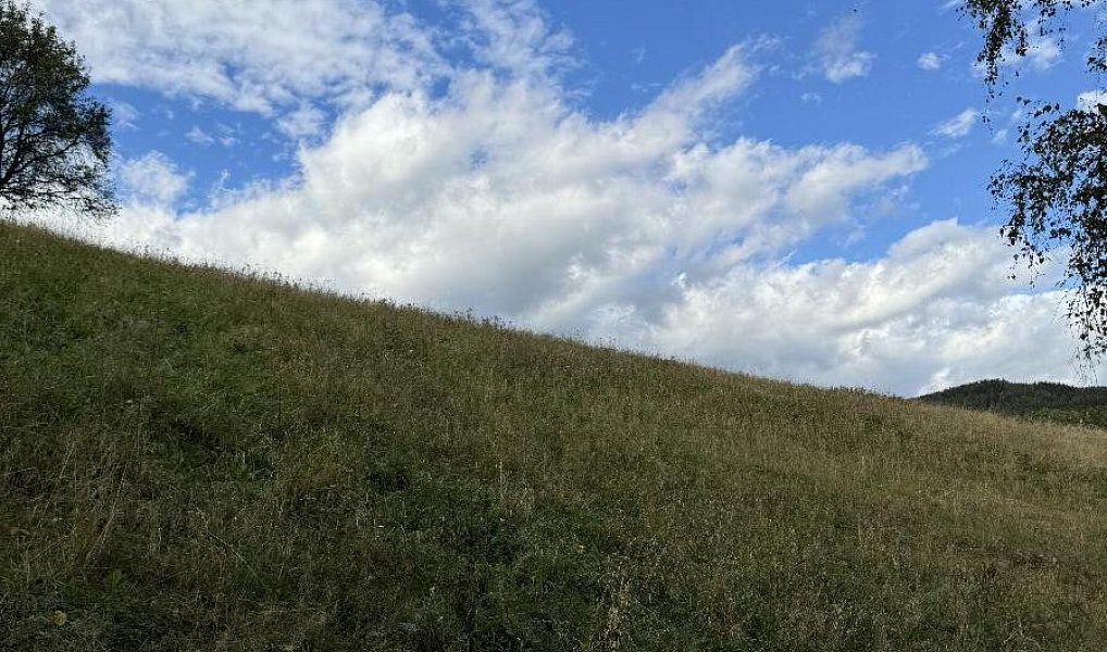 Prodej pozemku 10 821 m², Velké Svatoňovice – náhled fotky 7