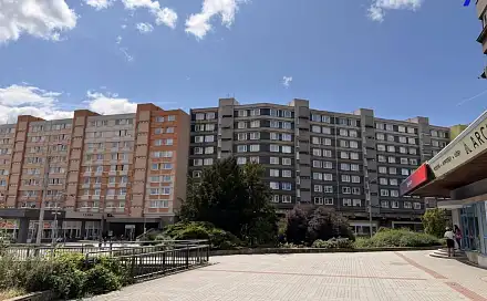 Prodej bytu 1+1 36 m², Palackého, Chomutov